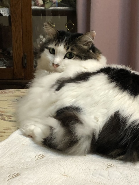 しお９.jpg